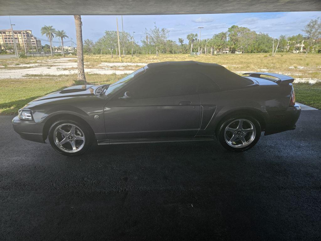 2004 Ford Mustang GT Premium photo 2