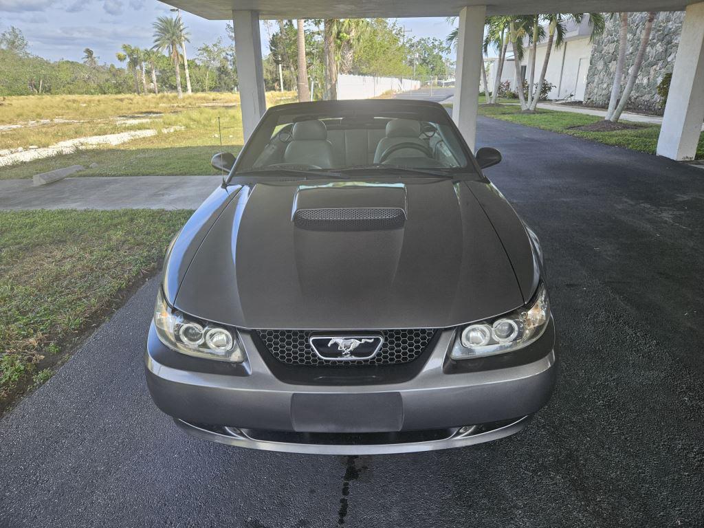 2004 Ford Mustang GT Premium photo 16