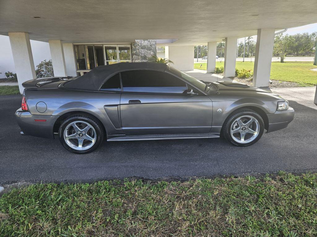 2004 Ford Mustang GT Premium photo 6