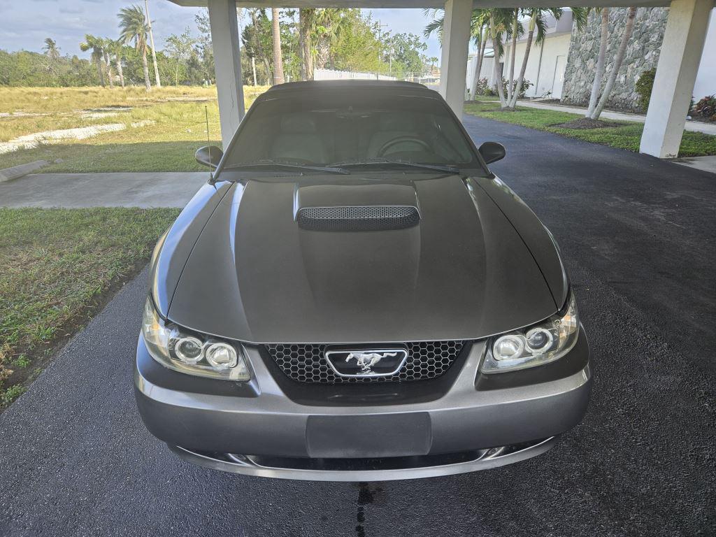 2004 Ford Mustang GT Premium photo 8